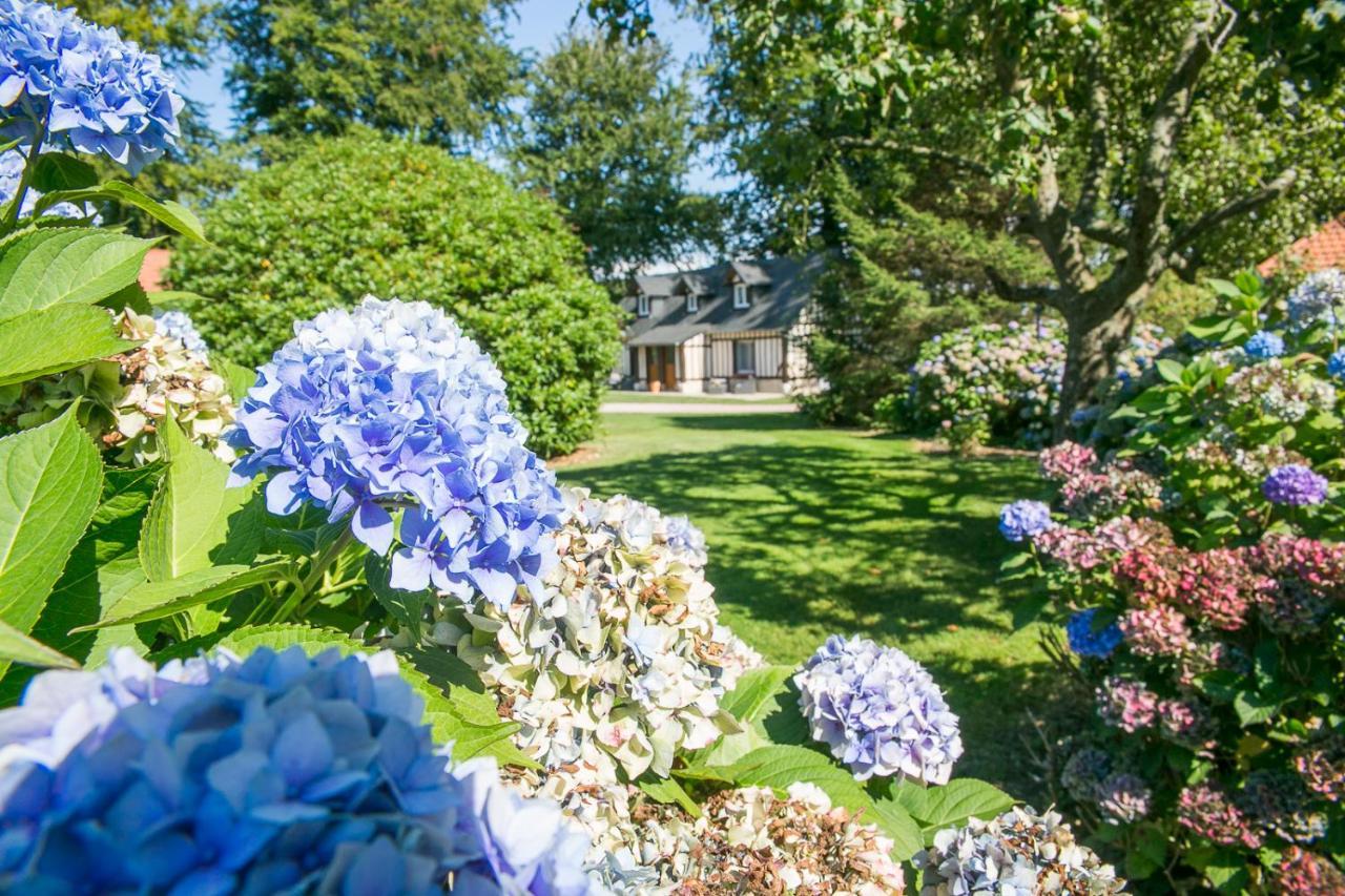 Clos Celeste - Campagne D Etretat Avec Piscine Et Spa Ecrainville ภายนอก รูปภาพ